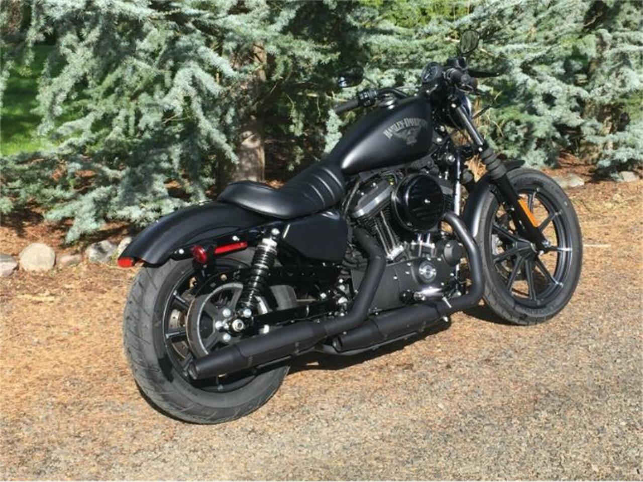 2018 Harley-Davidson Sportster for sale in Cadillac, MI – photo 4