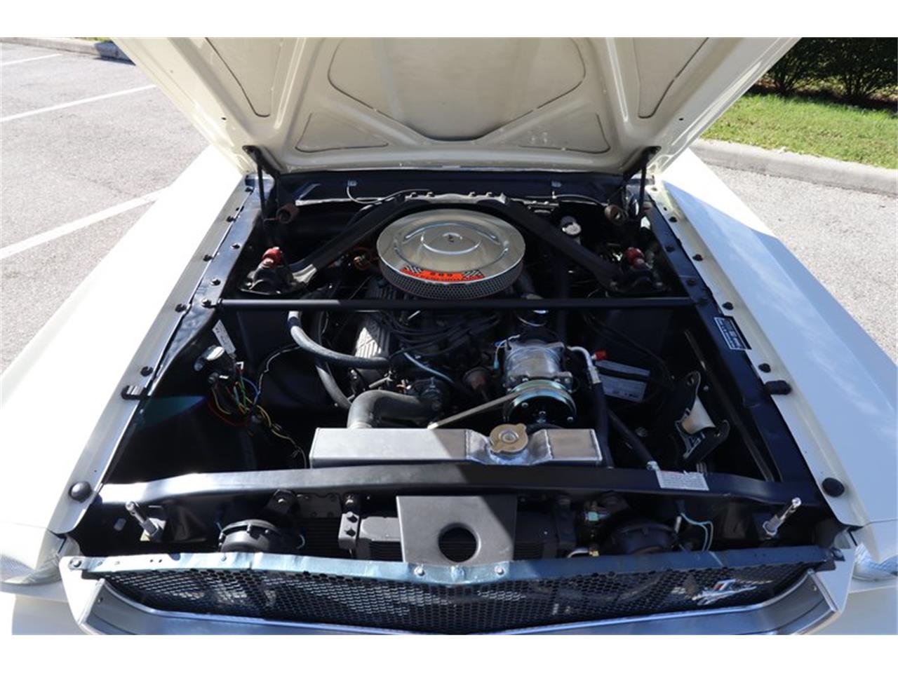 1965 Shelby GT350 for sale in Sarasota, FL – photo 41