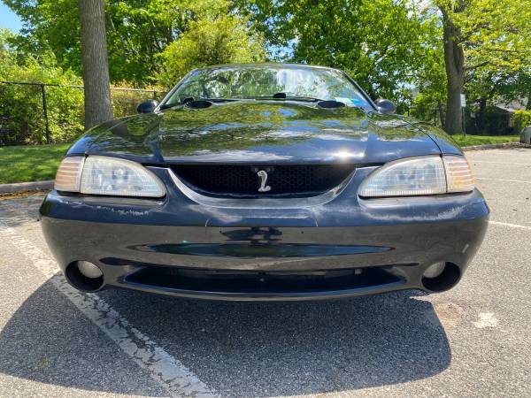 1996 Mustang Cobra for sale in Bethpage, NY – photo 6