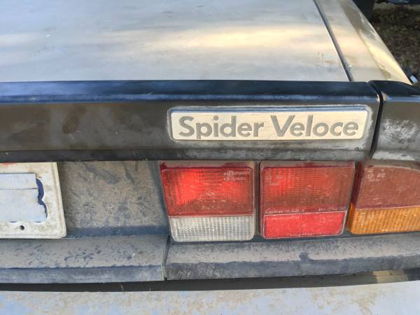 1986 Alfa Romeo Spider Veloce for sale in Wasco, CA – photo 5