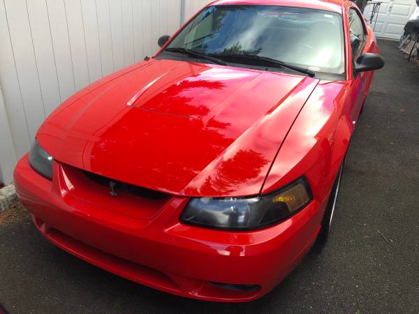 2001 mustang cobra - cars & trucks - by owner - vehicle automotive... for sale in West Babylon, NY – photo 3