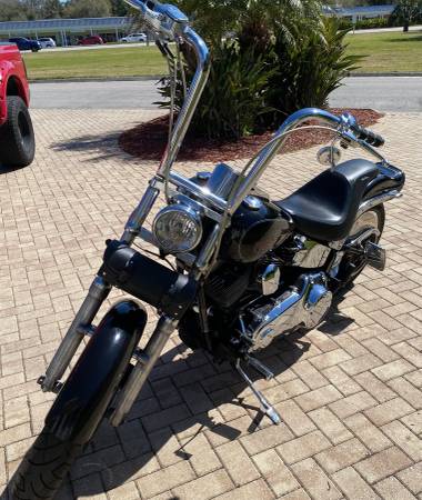 2008 Harley FXSTC - cash or trade (REDUCED) - - by for sale in St. Augustine, FL – photo 3