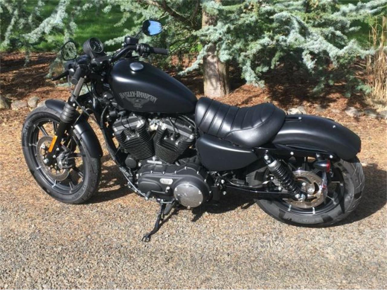 2018 Harley-Davidson Sportster for sale in Cadillac, MI – photo 2