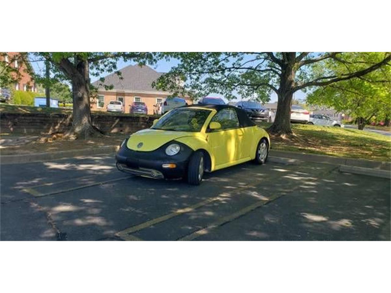 1998 Volkswagen Beetle for sale in Cadillac, MI – photo 3