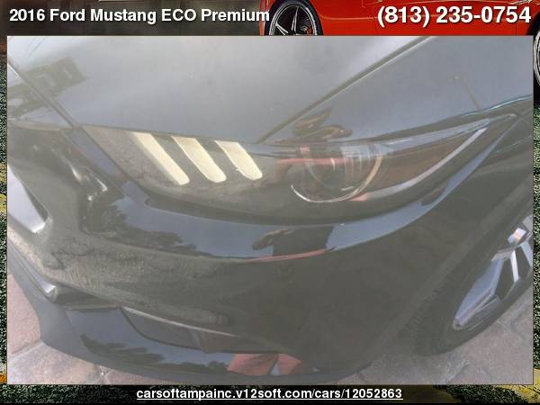 2016 Ford Mustang ECO Premium ECO Premium for sale in TAMPA, FL – photo 8