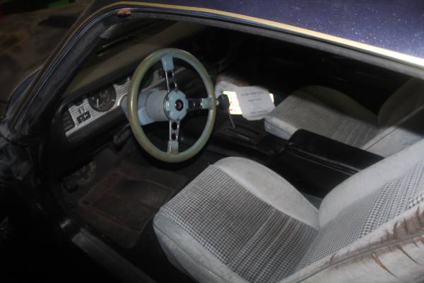 1979 Pontiac TransAm for sale in Hayward, WI – photo 6