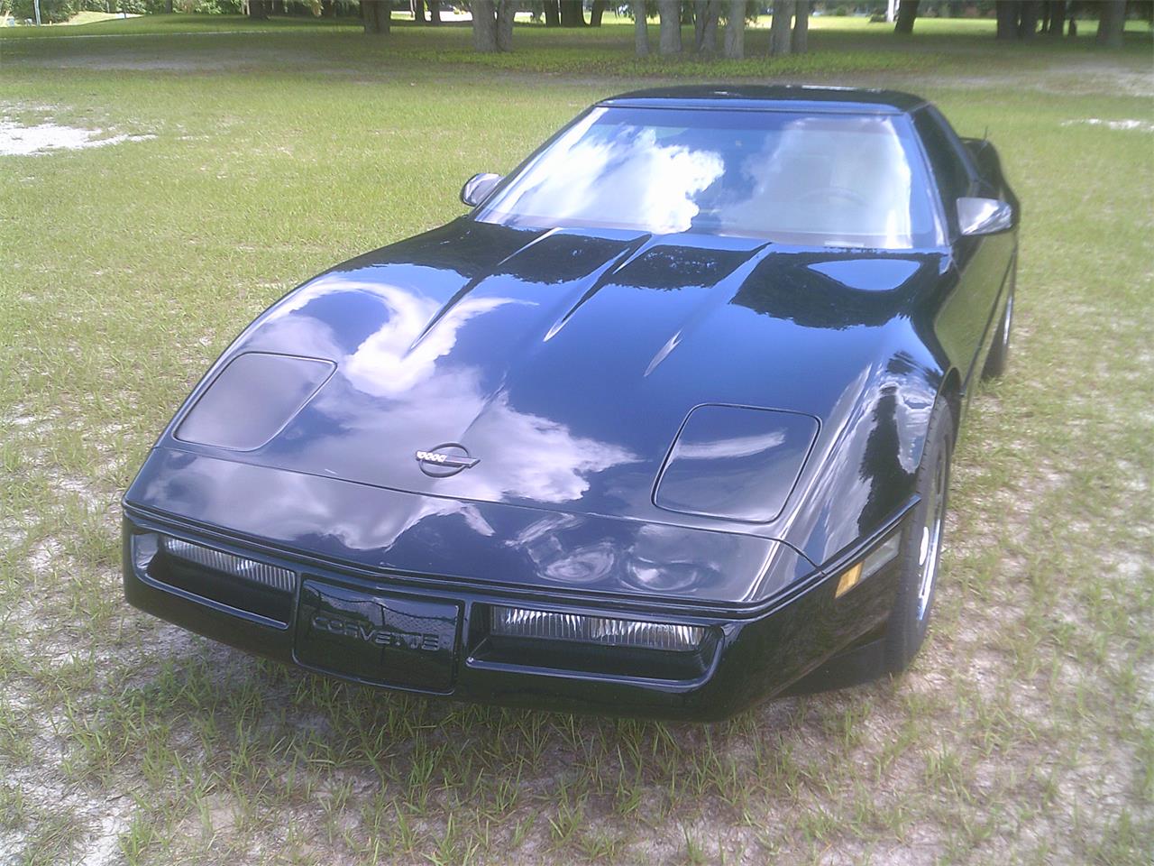 1984 Chevrolet Corvette for sale in Mt. Dora, FL – photo 4