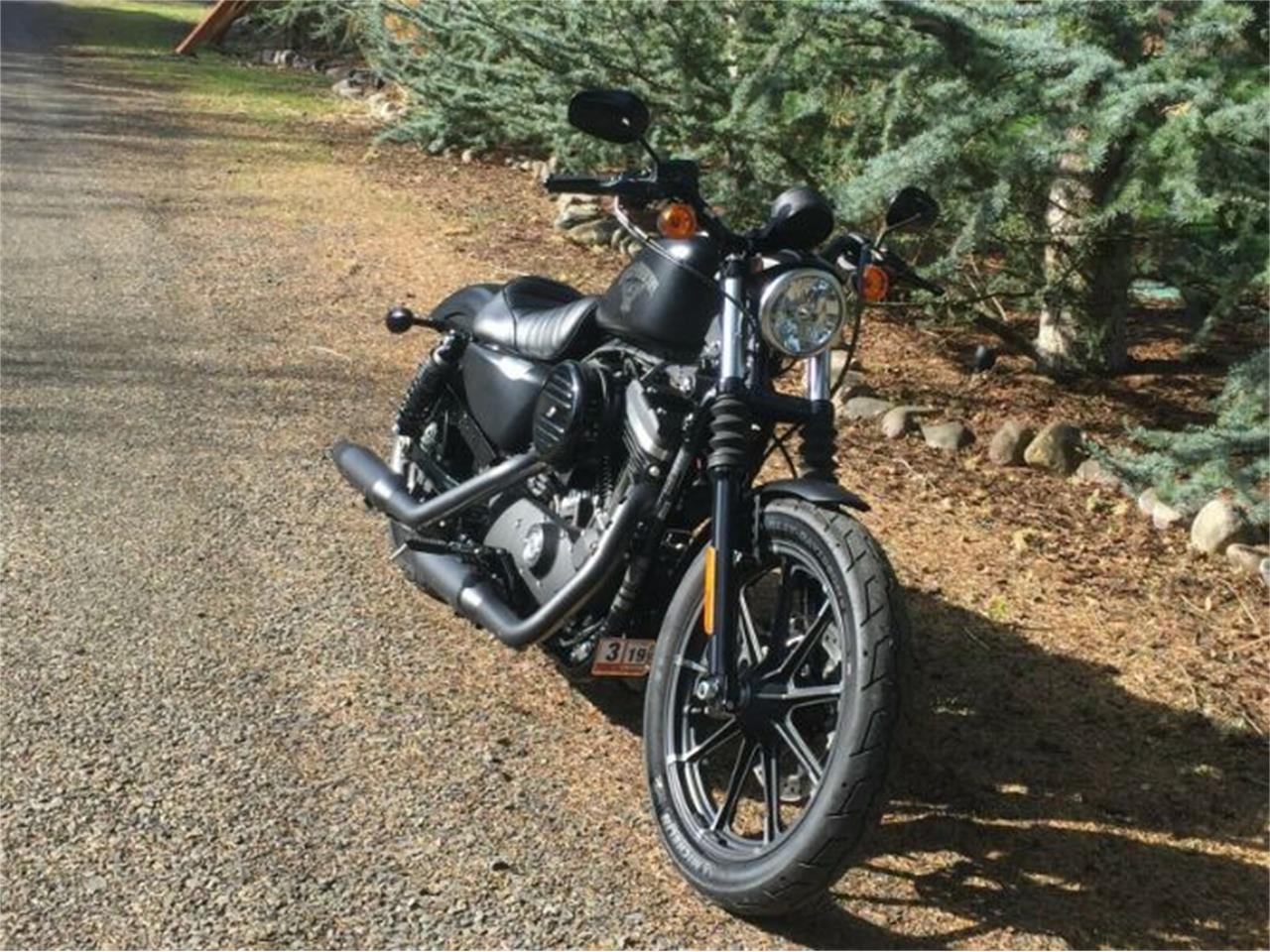 2018 Harley-Davidson Sportster for sale in Cadillac, MI – photo 8
