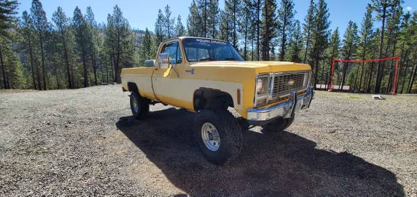 1979 Chevy Pickup for sale in Canyon City, OR – photo 7