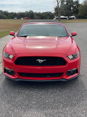 2015 Ford Mustang Convertible Ecoboost for sale in Clearwater, FL – photo 3