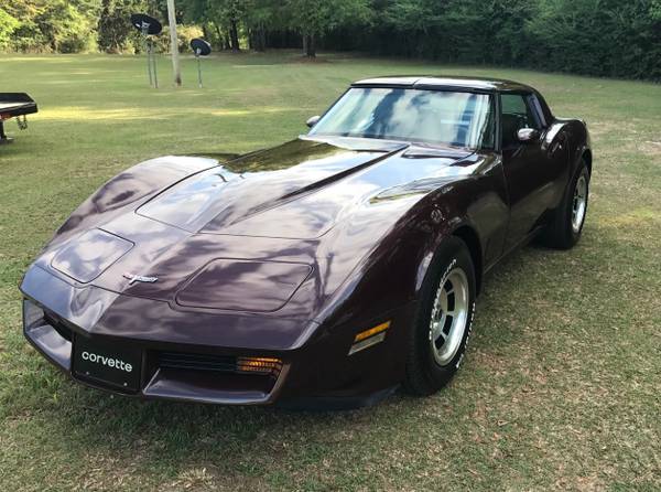 1980 Corvette - cars & trucks - by owner - vehicle automotive sale for sale in Red Level, AL – photo 13