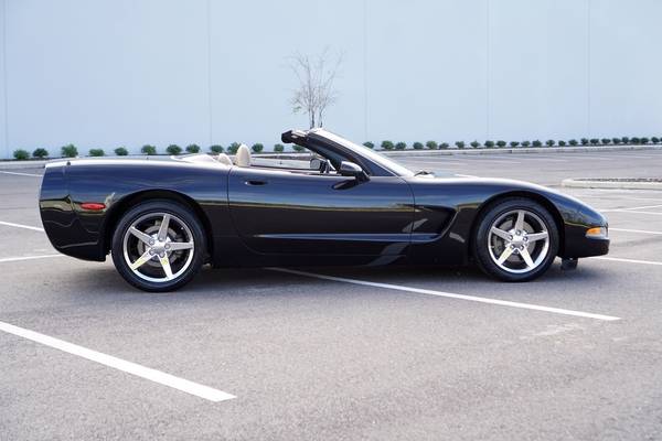 1999 Chevrolet Corvette Convertible Z51 BLACK EXCEPTIONAL - cars &... for sale in tampa bay, FL – photo 6