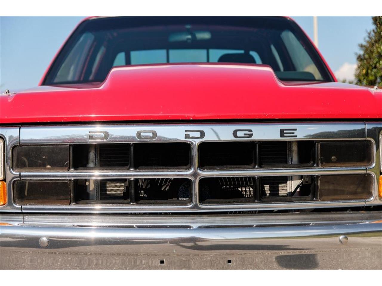 1993 Dodge Dakota for sale in Winter Garden, FL – photo 58