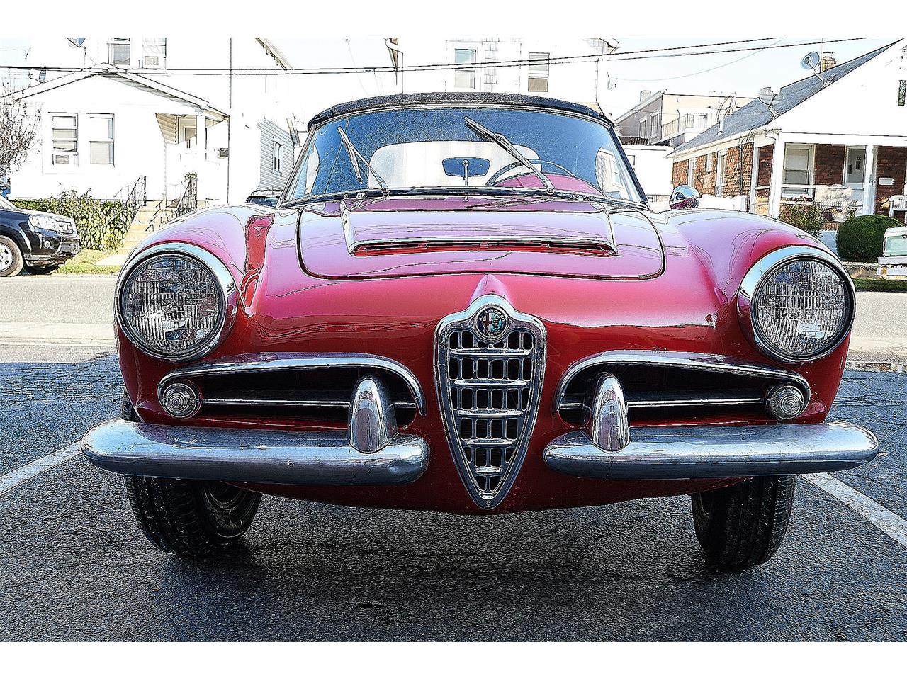 1962 Alfa Romeo Giulietta Spider for sale in Port Washington, NY – photo 2