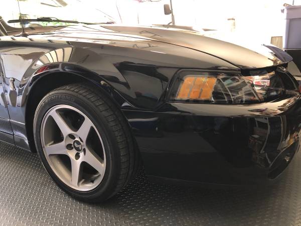 2003 Mustang Cobra - cars & trucks - by owner - vehicle automotive... for sale in Cumming, GA – photo 10