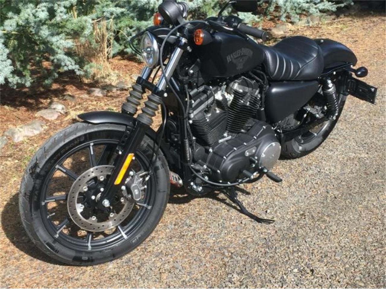 2018 Harley-Davidson Sportster for sale in Cadillac, MI