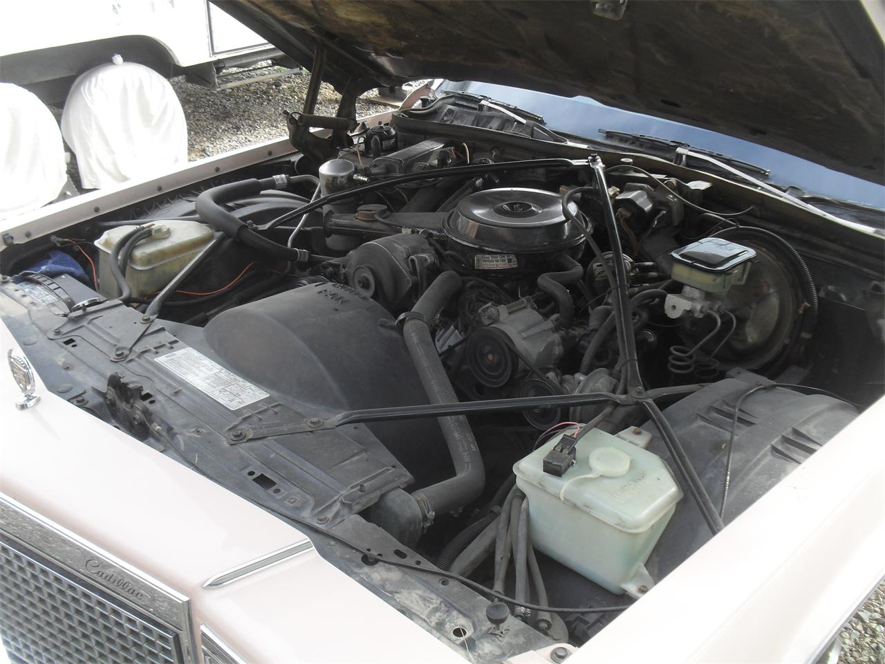 1981 Cadillac Coupe DeVille for sale in Bullhead City, AZ – photo 16