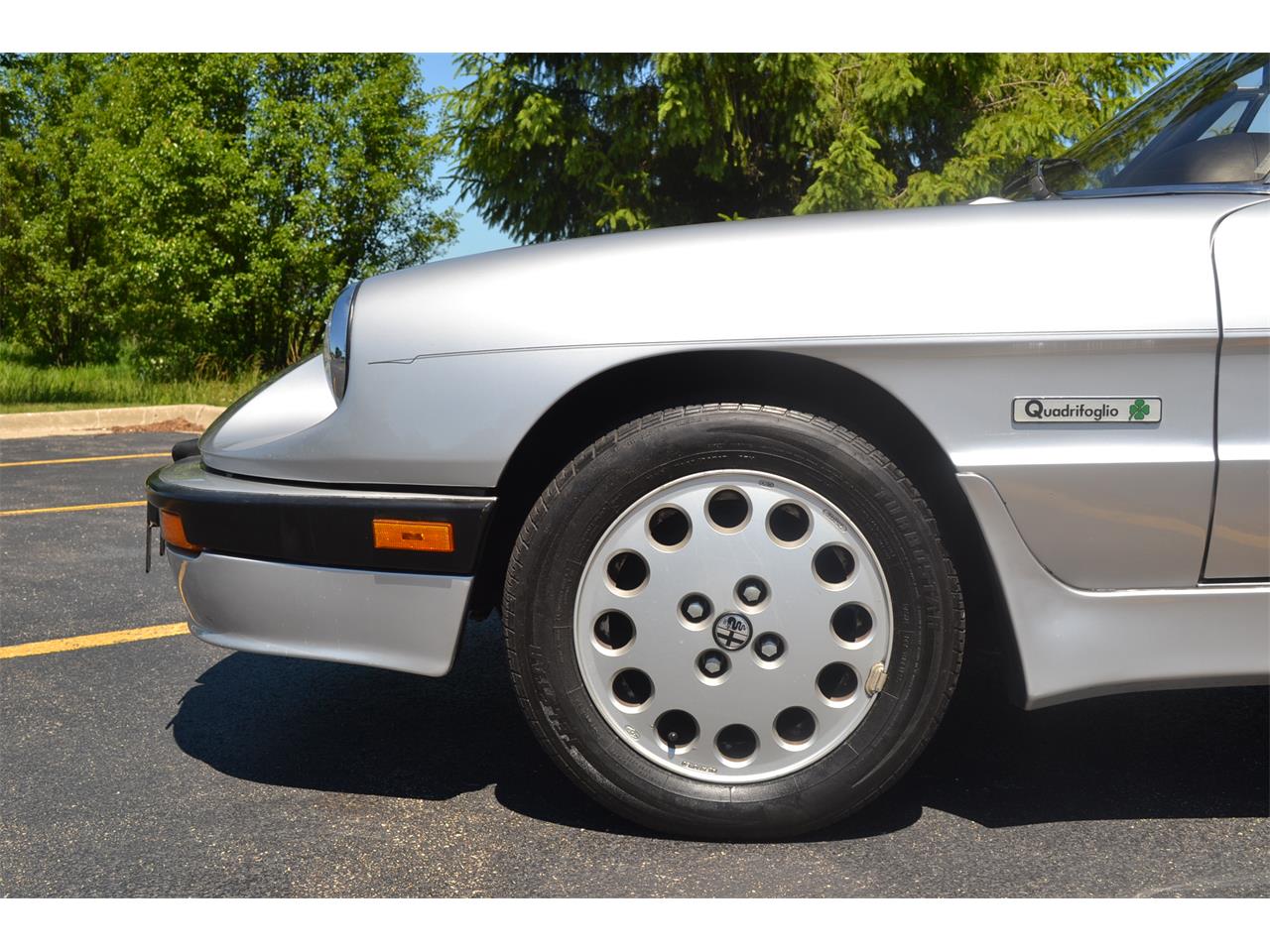 1986 Alfa Romeo Quadrifoglio for sale in Barrington, IL – photo 14