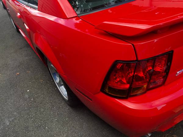 2001 mustang cobra - cars & trucks - by owner - vehicle automotive... for sale in West Babylon, NY – photo 6