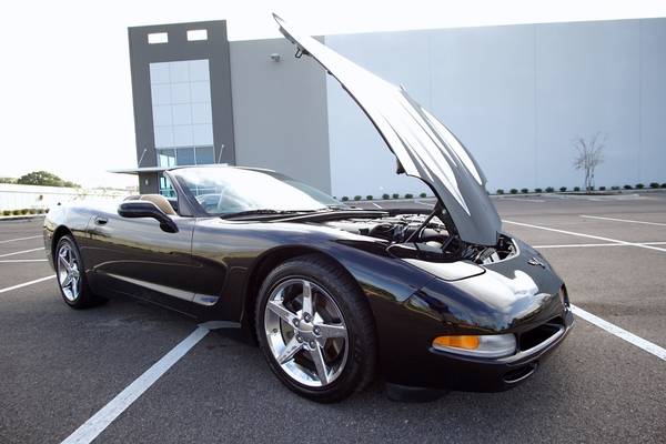 1999 Chevrolet Corvette Convertible Z51 BLACK EXCEPTIONAL - cars &... for sale in tampa bay, FL – photo 2