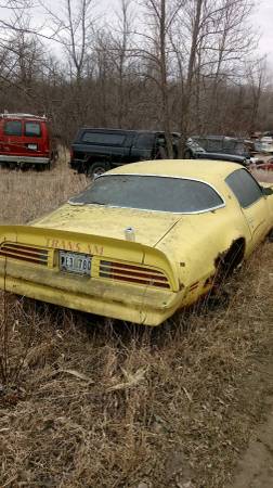 1976 Pontiac Trans Am for sale in Mahnomen, ND – photo 2