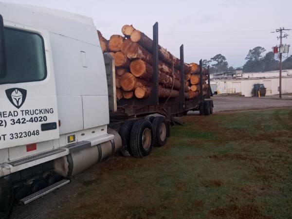 Log Truck & Trailer * Must Go** - cars & trucks - by owner - vehicle... for sale in New Bern, NC – photo 2