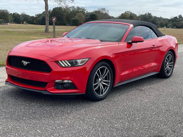 2015 Ford Mustang Convertible Ecoboost for sale in Clearwater, FL – photo 5