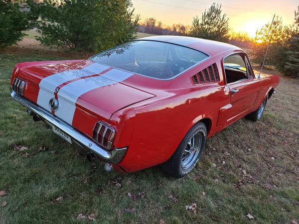 1965 Mustang Fastback - cars & trucks - by owner - vehicle... for sale in Stacy, MN – photo 5