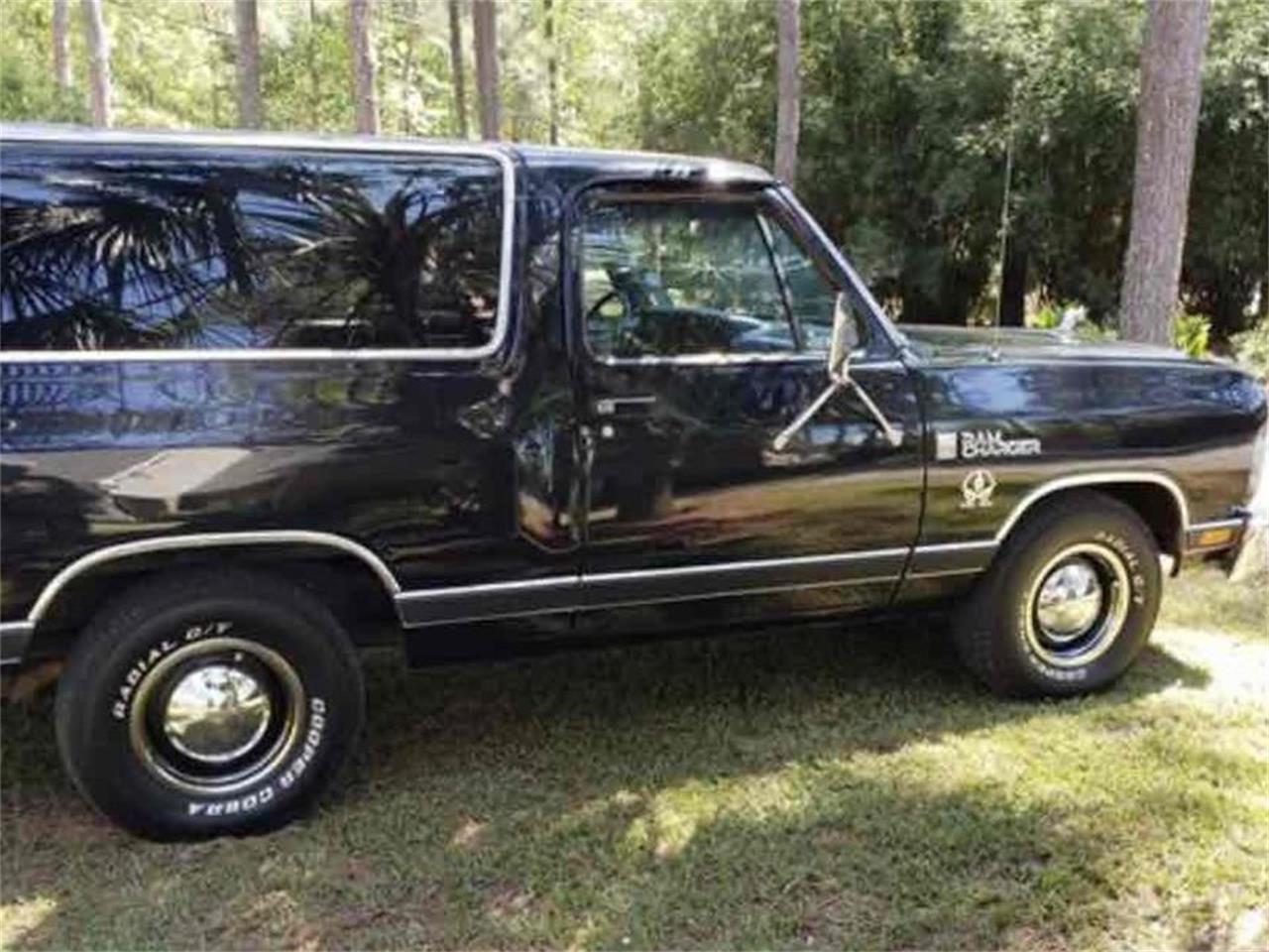 1987 Dodge Ramcharger for sale in Goldsboro, NC – photo 2