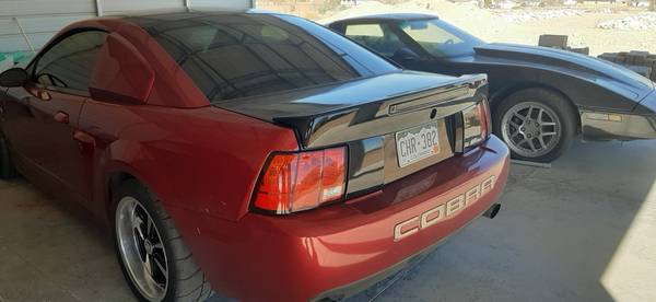 Mustang Cobra Terminator for sale in Pueblo, CO – photo 2