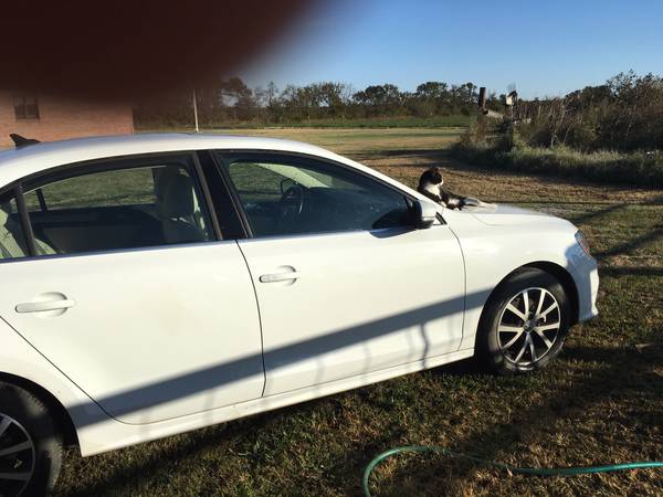 2017 VW JETTA SE TSI for sale in Severy, KS – photo 2
