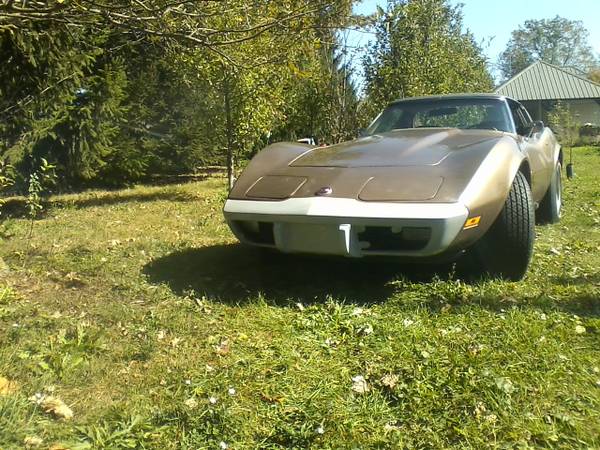 1975 CORVETTE low miles for sale in Latty, OH – photo 3