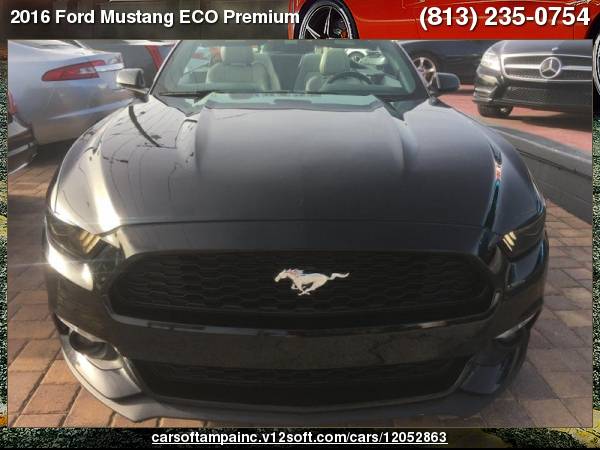 2016 Ford Mustang ECO Premium ECO Premium for sale in TAMPA, FL – photo 2