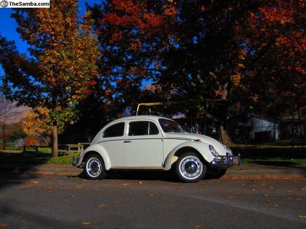 1964 Beetle - all original for sale in Medford, OR – photo 4