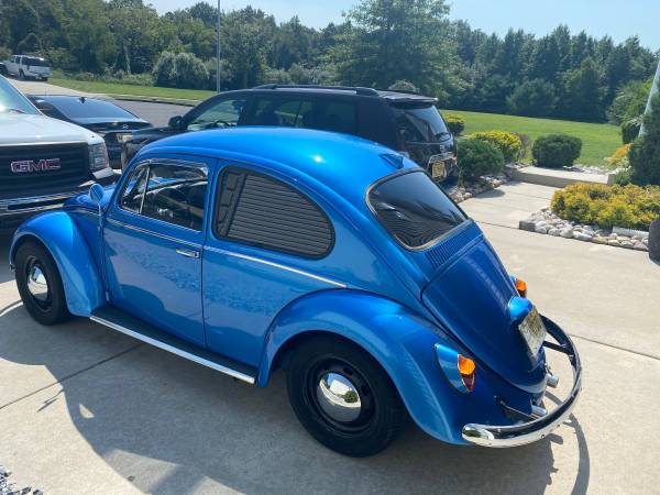 1965 Volkswagen beetle for sale in Vineland , NJ – photo 2