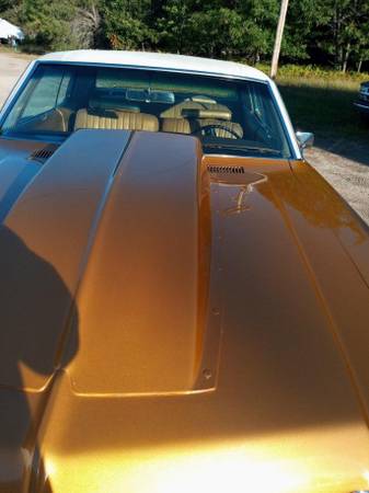 1970 Impala - cars & trucks - by owner - vehicle automotive sale for sale in Petoskey, MI – photo 12
