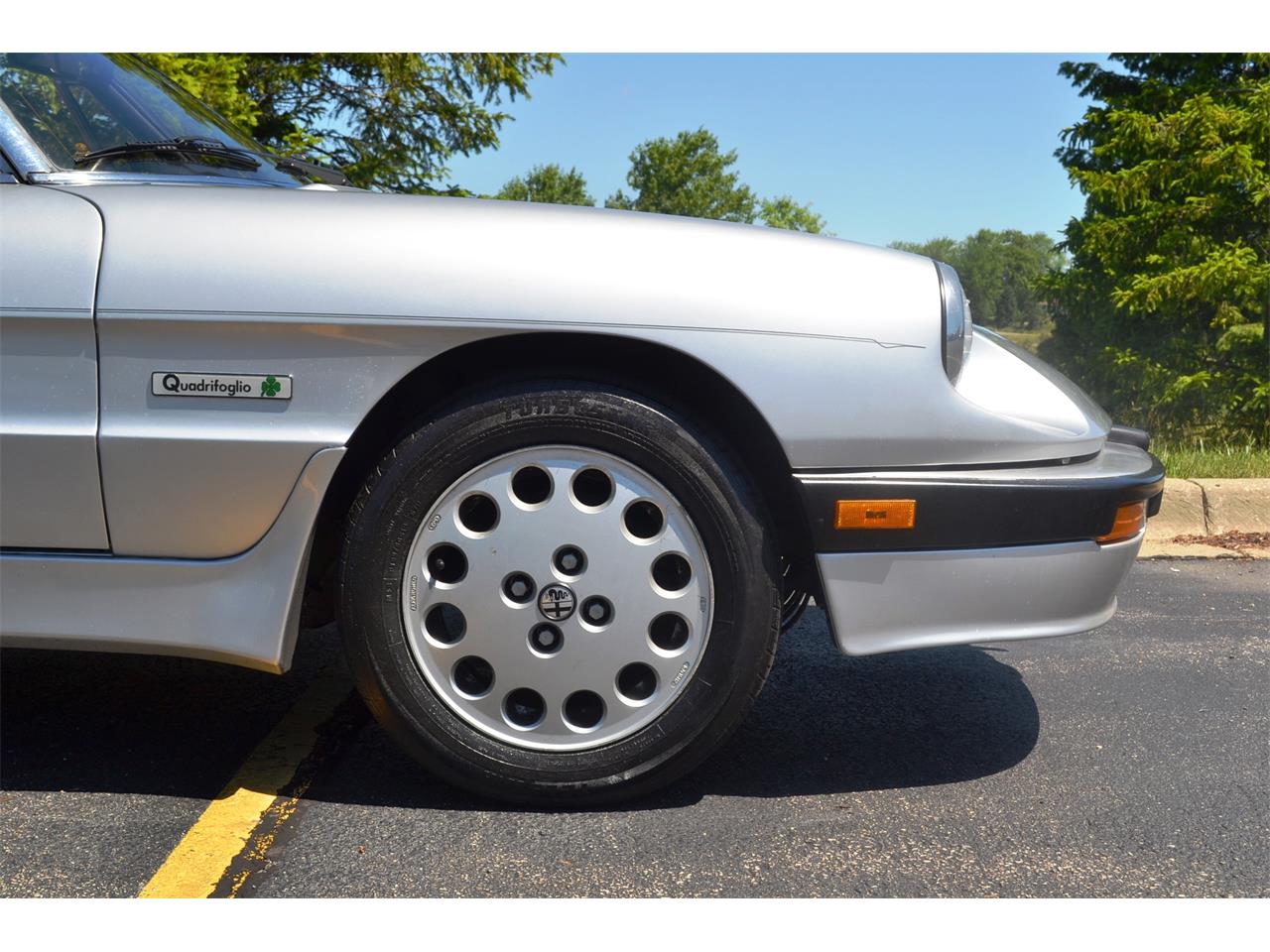 1986 Alfa Romeo Quadrifoglio for sale in Barrington, IL – photo 19