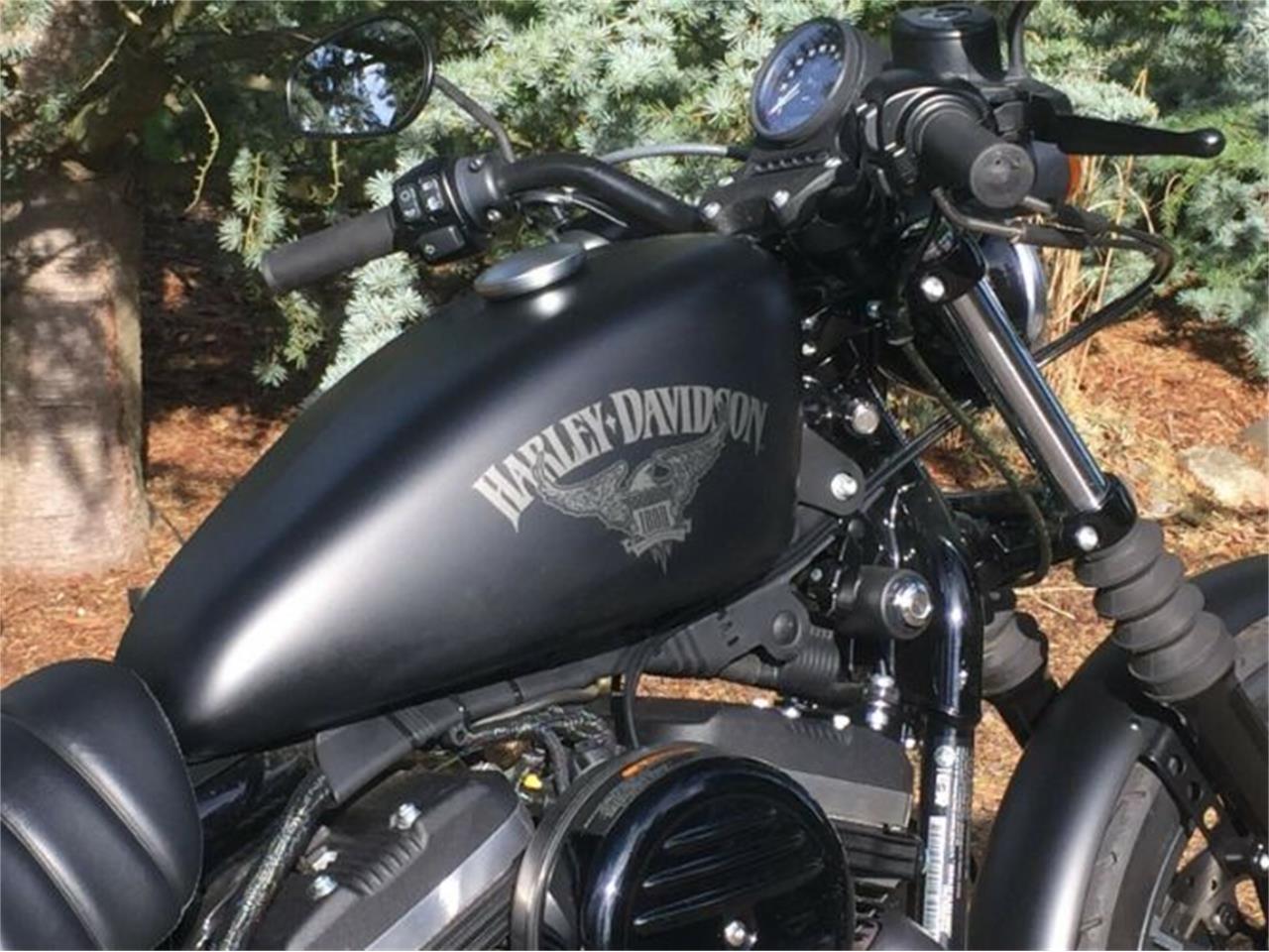 2018 Harley-Davidson Sportster for sale in Cadillac, MI – photo 10