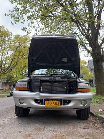 2004 Dodge Dakota rare spec d V8 pickup for sale in Buffalo, NY – photo 4
