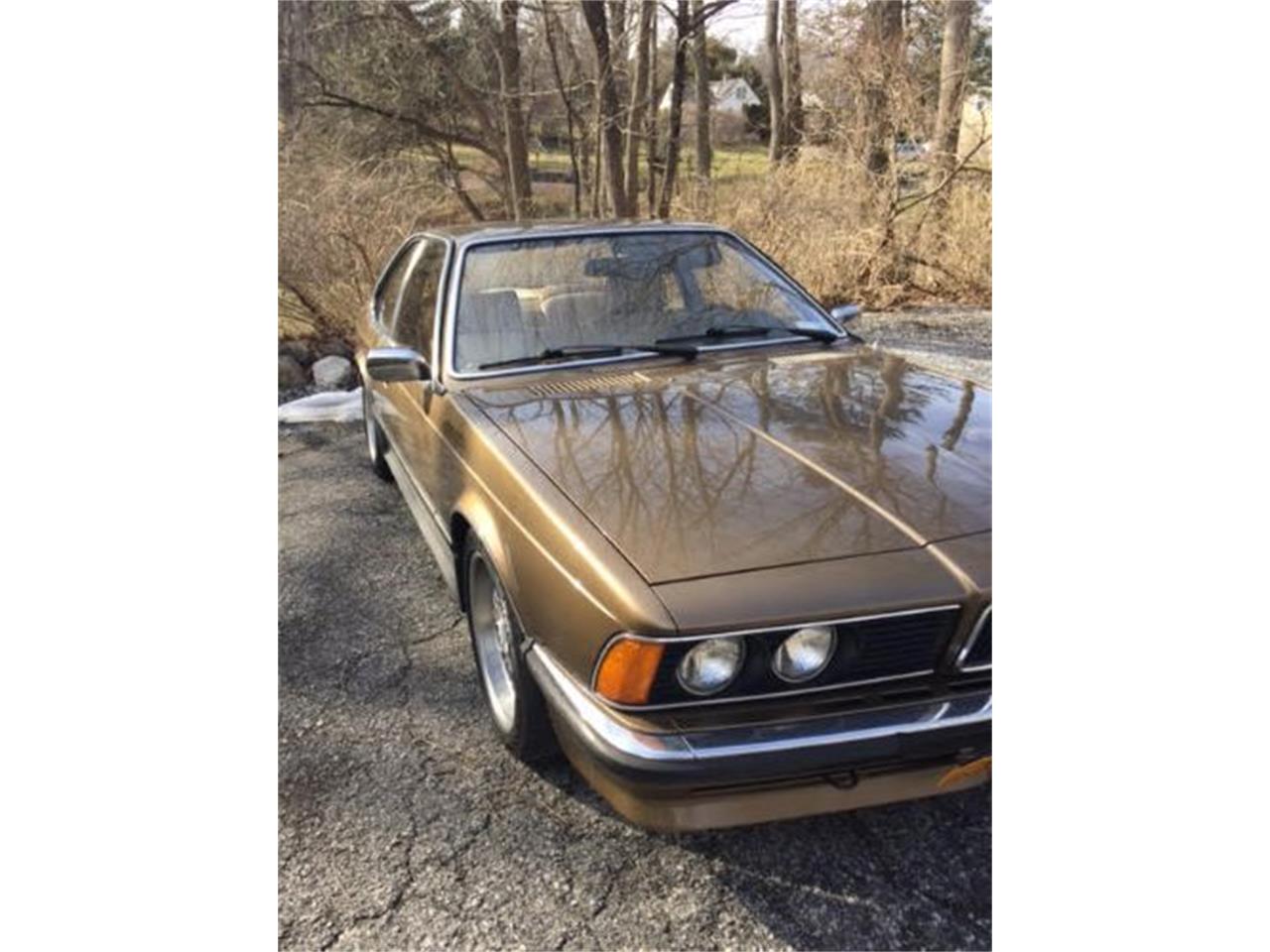1981 BMW 635csi for sale in Cadillac, MI – photo 9
