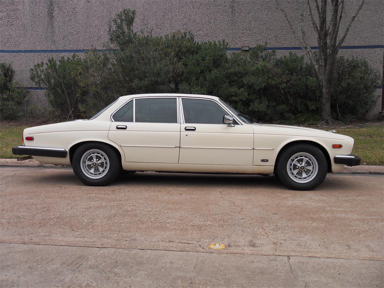 1987 Jaguar XJ6 for sale in Houston, TX – photo 4