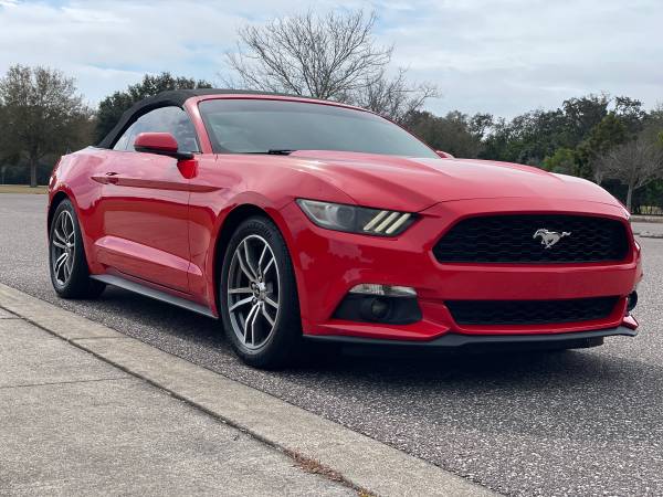 2015 Ford Mustang Convertible Ecoboost for sale in Clearwater, FL – photo 4