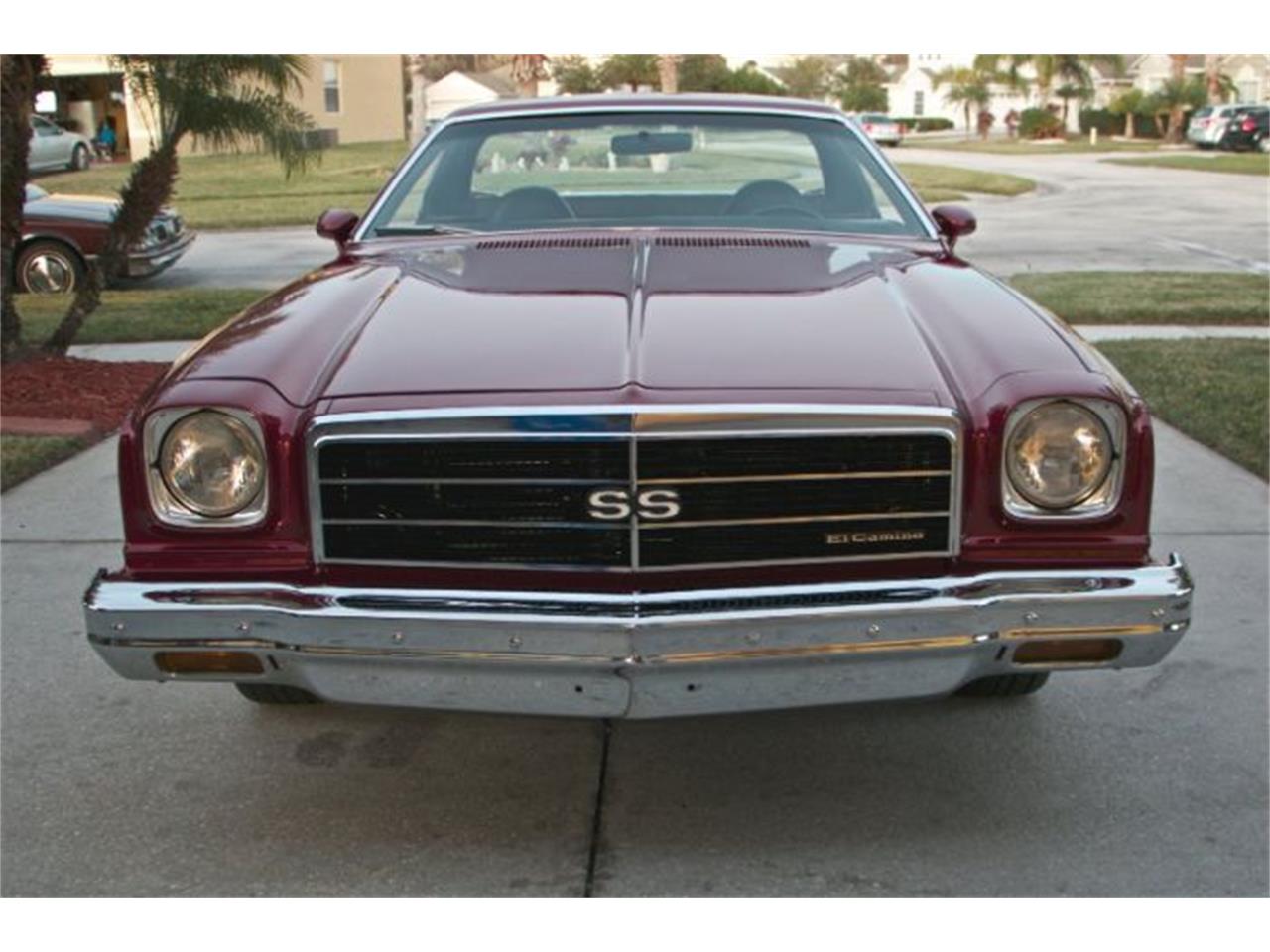 1974 Chevrolet El Camino for sale in Cadillac, MI – photo 3