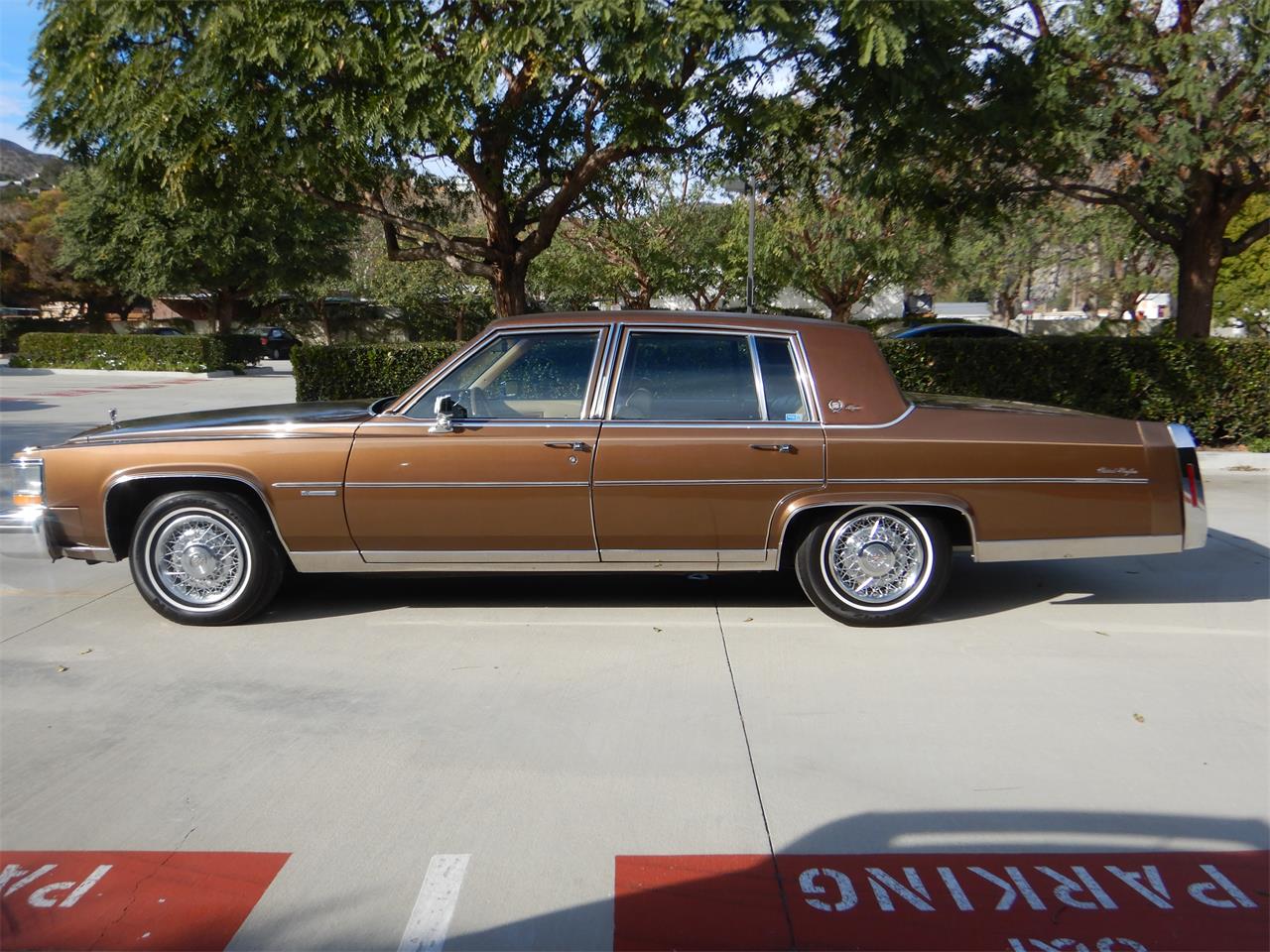 1981 Cadillac Fleetwood Brougham for sale in Woodland Hills, CA – photo 5