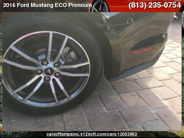 2016 Ford Mustang ECO Premium ECO Premium for sale in TAMPA, FL – photo 11