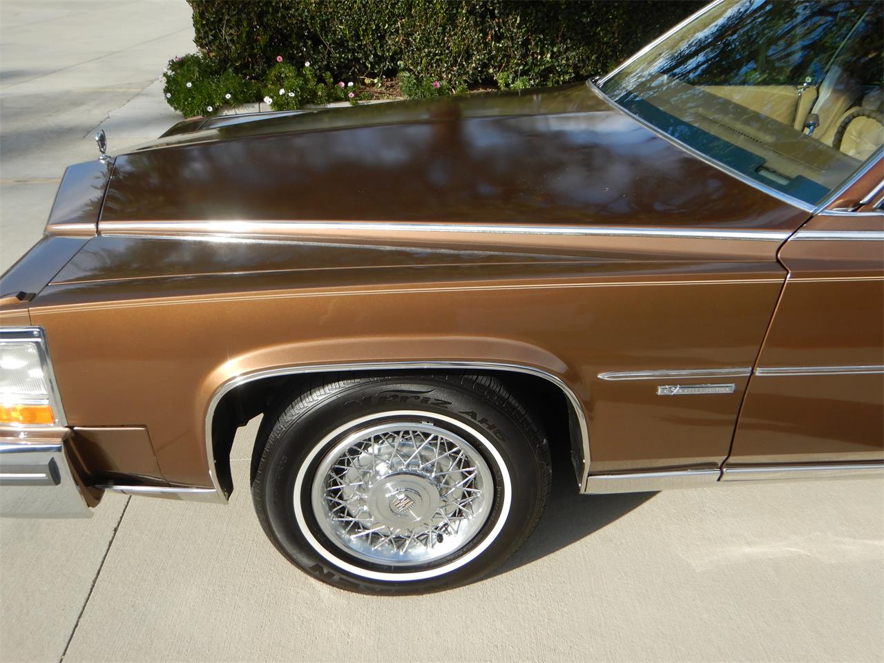 1981 Cadillac Fleetwood Brougham for sale in Woodland Hills, CA – photo 11