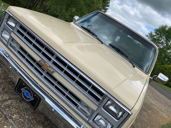 1985 Chevy Scottsdale for sale in Hot Springs National Park, AR – photo 9