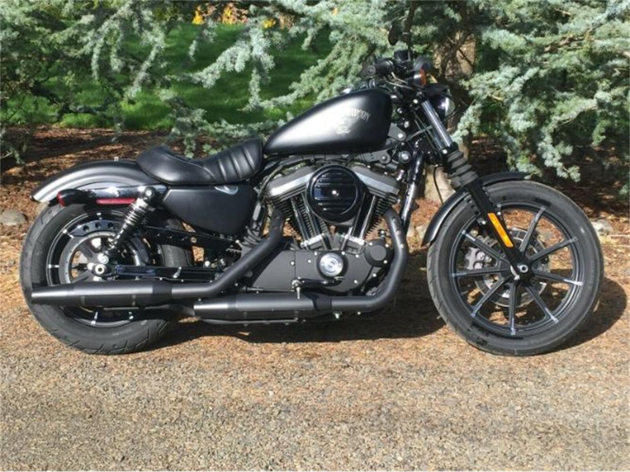 2018 Harley-Davidson Sportster for sale in Cadillac, MI – photo 5