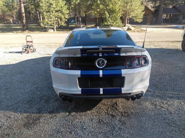 2014 Shelby Cobra Mustang GT 500 for sale in Calpine, NV – photo 3