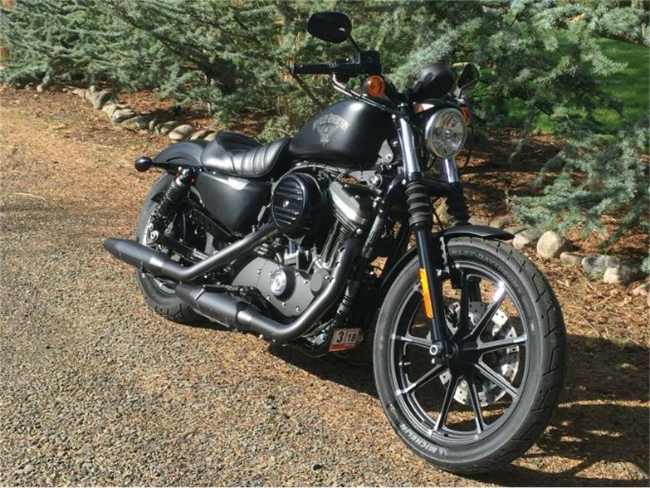 2018 Harley-Davidson Sportster for sale in Cadillac, MI – photo 7